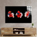 Halfmoon Beta Fish Glass Wall Art - DIY - CreoGlass®
