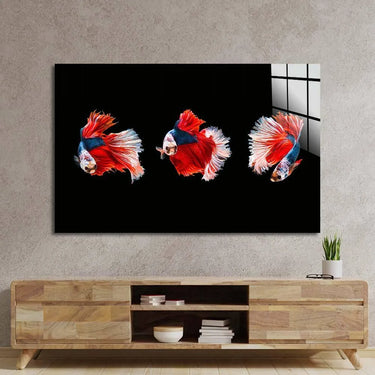 Halfmoon Beta Fish Glass Wall Art - DIY - CreoGlass®