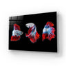 Halfmoon Betta Fish 2 Glass Wall Art - DIY - CreoGlass®