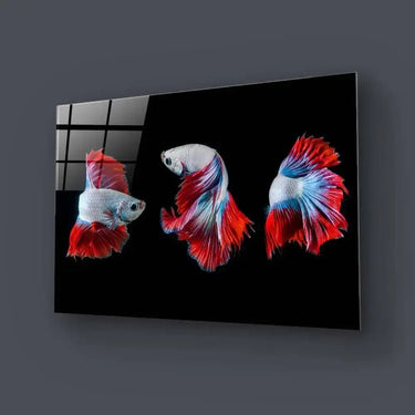 Halfmoon Betta Fish 2 Glass Wall Art - DIY - CreoGlass®