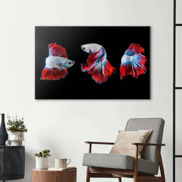 Halfmoon Betta Fish 2 Glass Wall Art - DIY - CreoGlass®