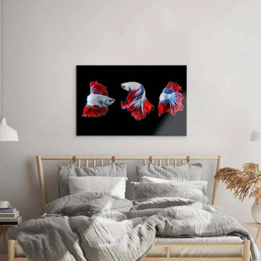 Halfmoon Betta Fish 2 Glass Wall Art - DIY - CreoGlass®