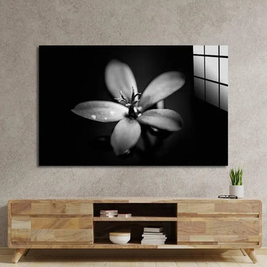 Hawthorn Black and White Glass Wall Art - DIY - CreoGlass®