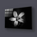 Hawthorn Black and White Glass Wall Art - DIY - CreoGlass®