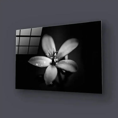 Hawthorn Black and White Glass Wall Art - DIY - CreoGlass®