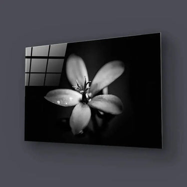 Hawthorn Black and White Glass Wall Art - DIY - CreoGlass®