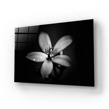 Hawthorn Black and White Glass Wall Art - DIY - CreoGlass®
