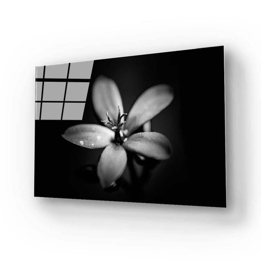 Hawthorn Black & White Glass Wall Art - DIY - CreoGlass®