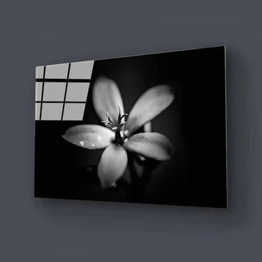 Hawthorn Black & White Glass Wall Art - DIY - CreoGlass®