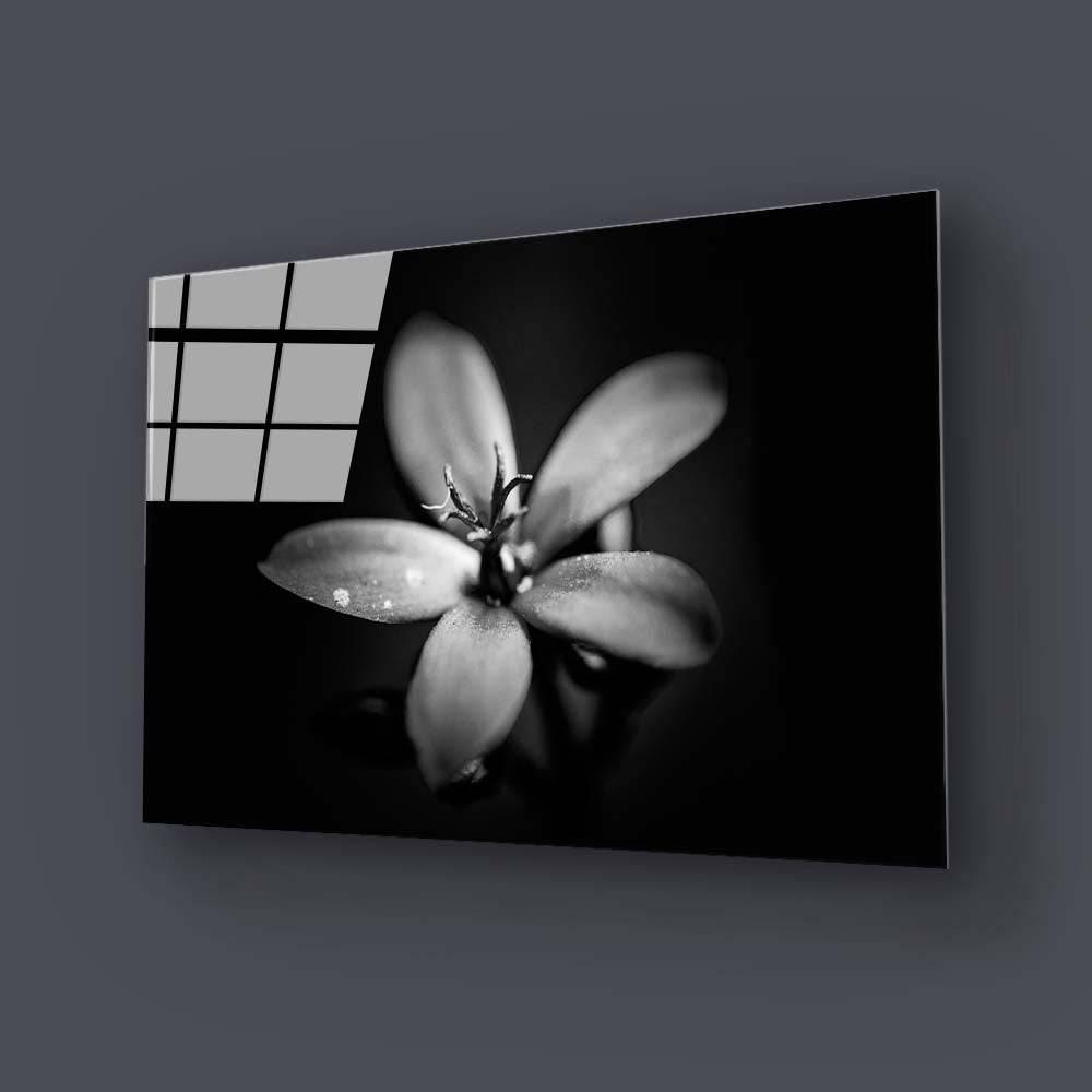 Hawthorn Black & White Glass Wall Art - DIY - CreoGlass®