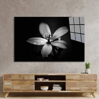 Hawthorn Black & White Glass Wall Art - DIY - CreoGlass®