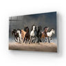 Herd Of Horses Running Forward On Sand Glass Wall Art - DIY - CreoGlass®