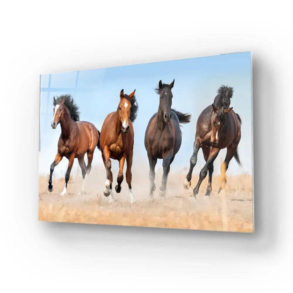 Horse Herd Running In Dust Glass Wall Art - DIY - CreoGlass®