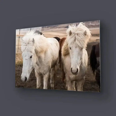 Horse Stable Glass Wall Art - DIY - CreoGlass®