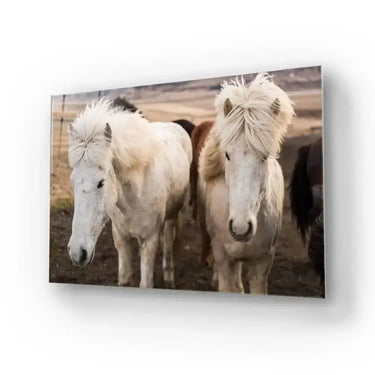 Horse Stable Glass Wall Art - DIY - CreoGlass®