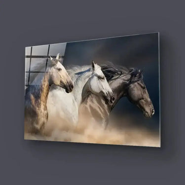 Horses With Long Mane Portrait Running In Desert Glass Wall Art - DIY - CreoGlass®