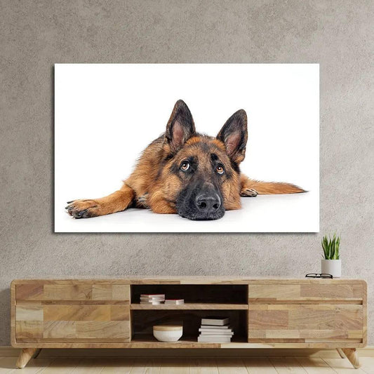 Large German Shepherd Dog Resting Glass Wall Art - DIY - CreoGlass®
