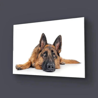 Large German Shepherd Dog Resting Glass Wall Art - DIY - CreoGlass®