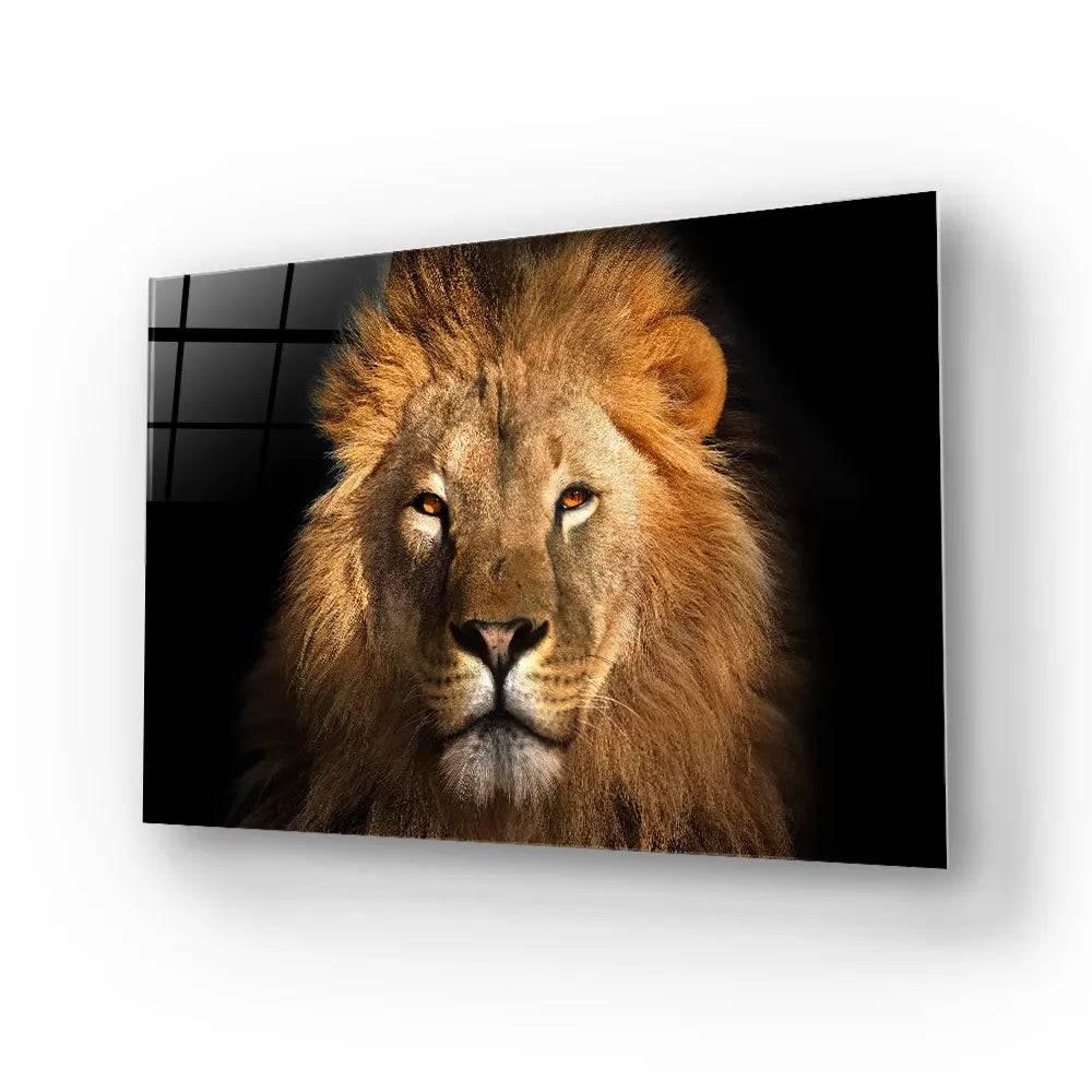 Lion King Isolated On Black Background Glass Wall Art - DIY - CreoGlass®