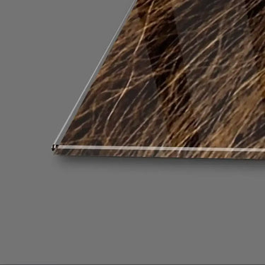 Lion's Portrait Glass Wall Art - DIY - CreoGlass®