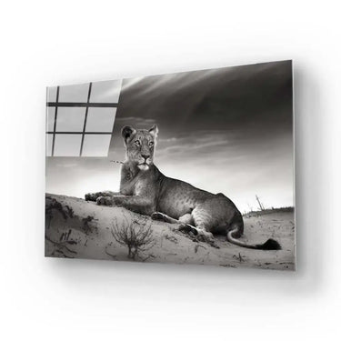 Lioness in the Desert Glass Wall Art - DIY - CreoGlass®