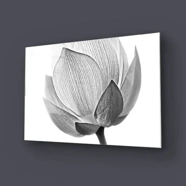 Lotus Black and White 2 Glass Wall Art - DIY - CreoGlass®