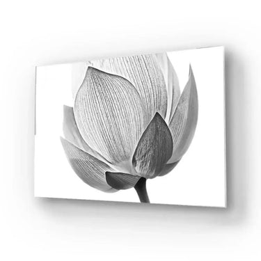 Lotus Black and White 2 Glass Wall Art - DIY - CreoGlass®