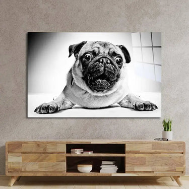 Playful Pug Black and White Glass Wall Art - DIY - CreoGlass®