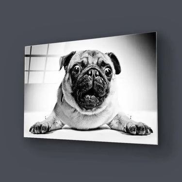 Playful Pug Black and White Glass Wall Art - DIY - CreoGlass®