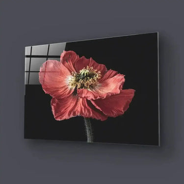 Poppy Glass Wall Art - Landscape Sizes - DIY - CreoGlass®