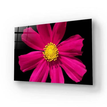 Red Daisy Glass Wall Art - Landscape Sizes - DIY - CreoGlass®
