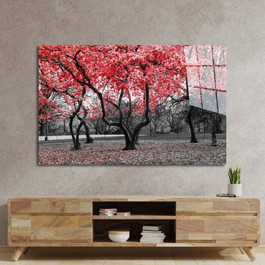 Red Leaves Trees in Park Glass Wall Art - DIY - CreoGlass®