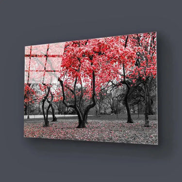 Red Leaves Trees in Park Glass Wall Art - DIY - CreoGlass®