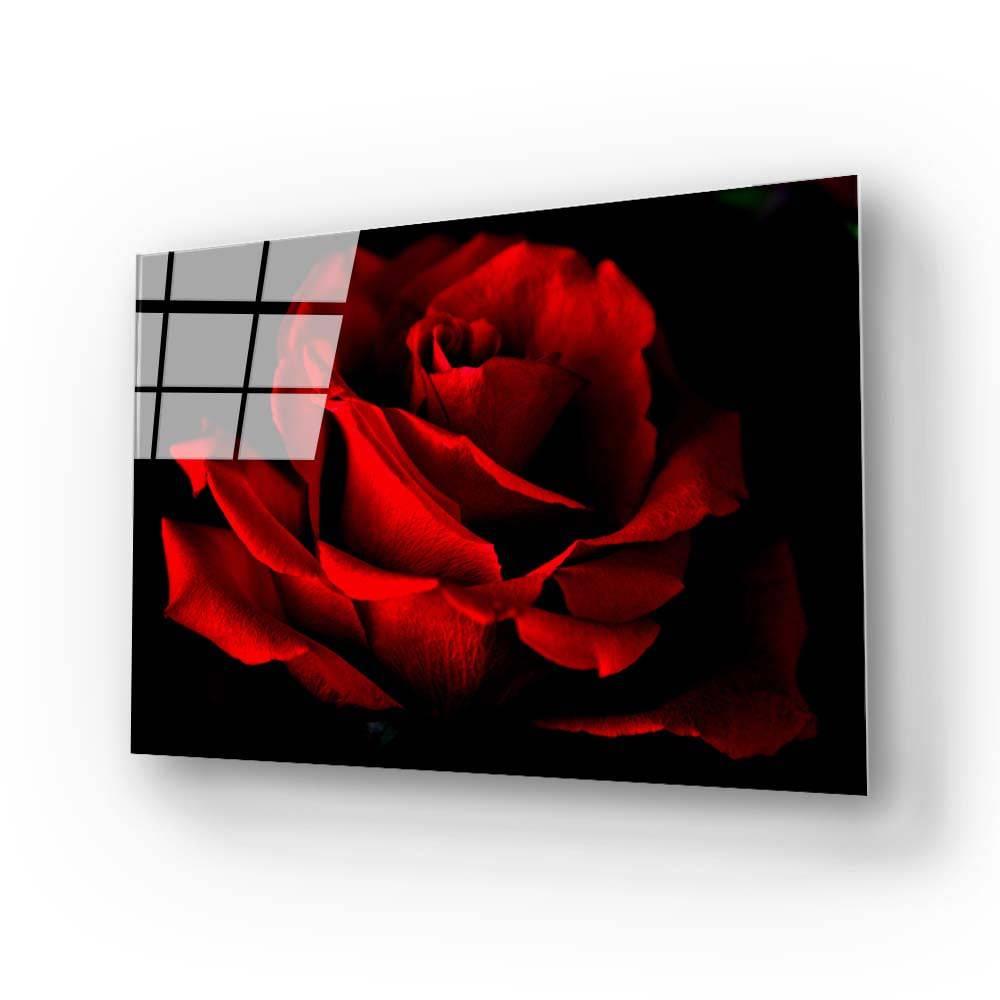 Red Rose with Black Background Glass Wall Art - DIY - CreoGlass®