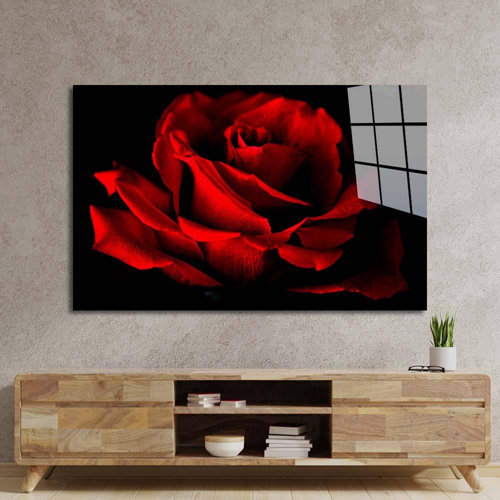 Red Rose with Black Background Glass Wall Art - DIY - CreoGlass®