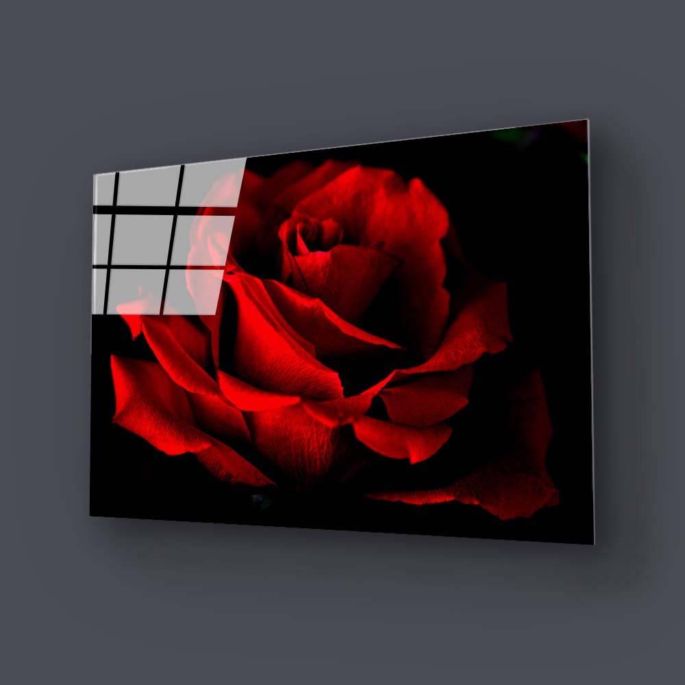 Red Rose with Black Background Glass Wall Art - DIY - CreoGlass®