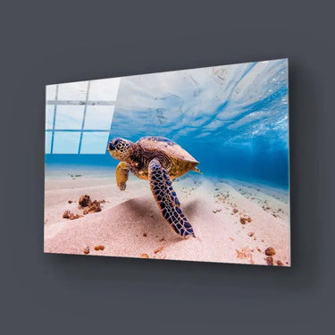 Sea Turtle Glass Wall Art - DIY - CreoGlass®