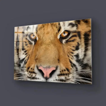 Siberian Tiger Glass Wall Art - DIY - CreoGlass®