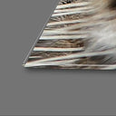 Siberian Tiger Glass Wall Art - DIY - CreoGlass®