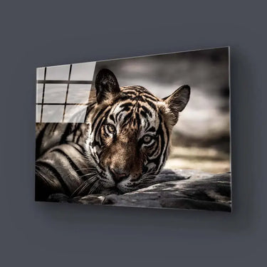 Sleepy Tiger Glass Wall Art - DIY - CreoGlass®