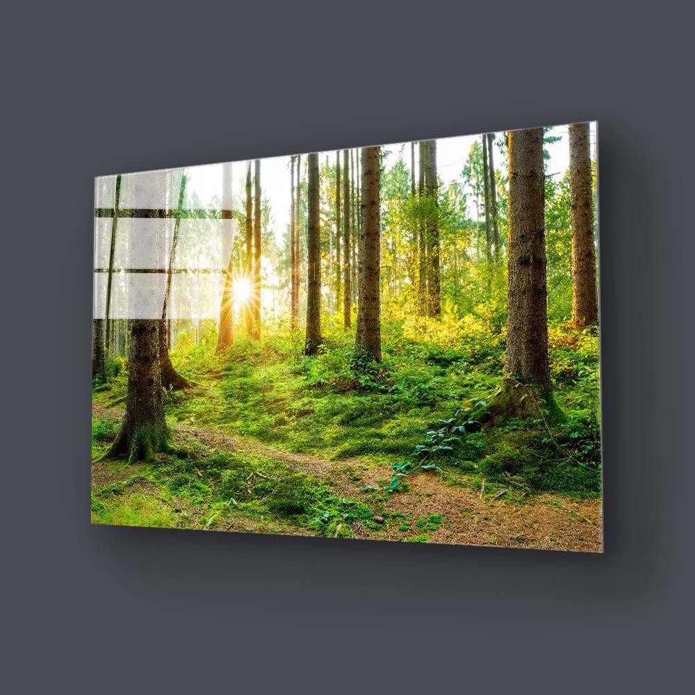 Sunshine in Forest Glass Wall Art - DIY - CreoGlass®