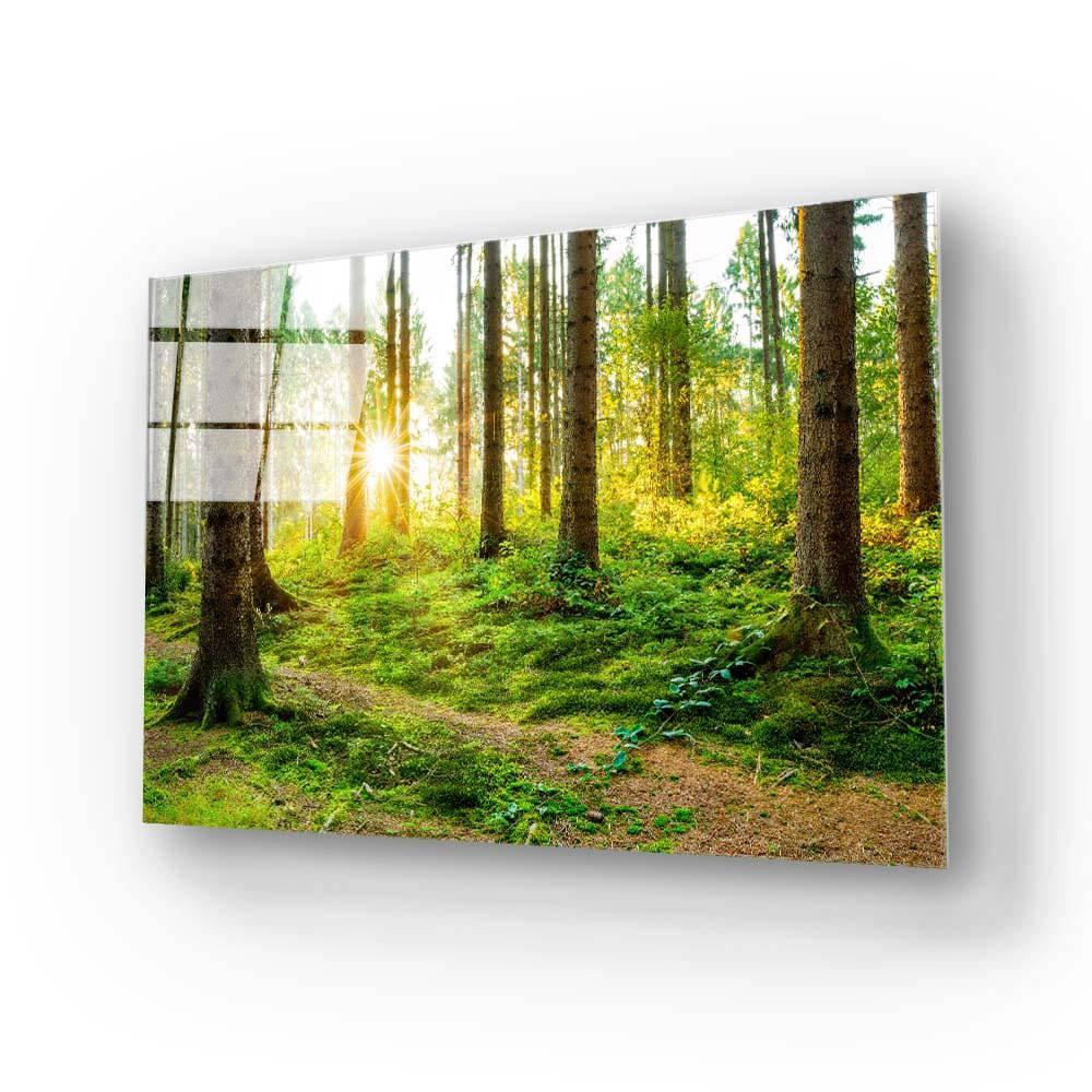 Sunshine in Forest Glass Wall Art - DIY - CreoGlass®