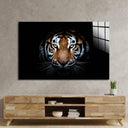 Tiger Portrait On Black Background Glass Wall Art - DIY - CreoGlass®