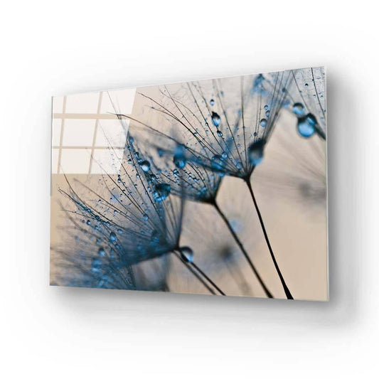 Water droplets on a Dandelion Glass Wall Art - DIY - CreoGlass®