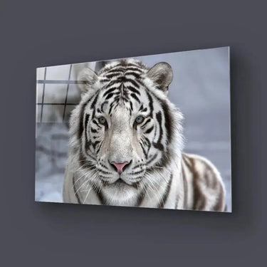 White Bengal Tiger Closeup Glass Wall Art - DIY - CreoGlass®