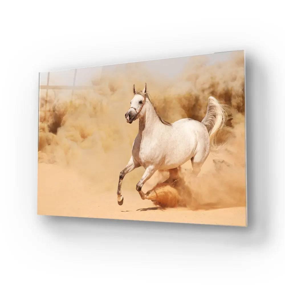 White Horse Running in Desert Glass Wall Art - DIY - CreoGlass®