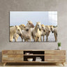 White Horses Glass Wall Art - DIY - CreoGlass®