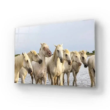 White Horses Glass Wall Art - DIY - CreoGlass®