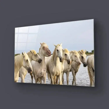 White Horses Glass Wall Art - DIY - CreoGlass®