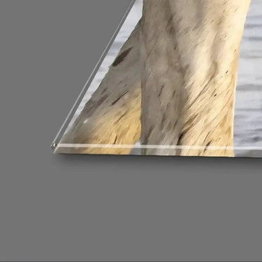 White Horses Glass Wall Art - DIY - CreoGlass®